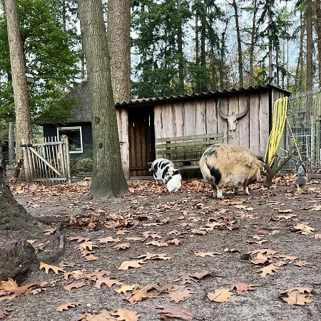 Cosy In A Wooded Area In Holiday home