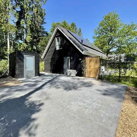 In Near Forest & Cycling *