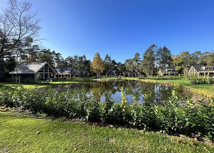 In Near Forest & Cycling