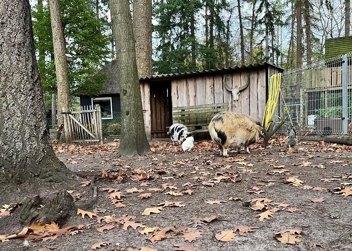 In Near Forest & Cycling Сasa de vacaciones