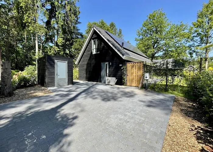 In Near Forest & Cycling *