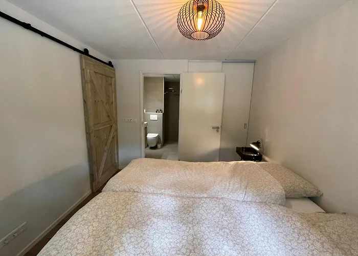 In Near Forest & Cycling