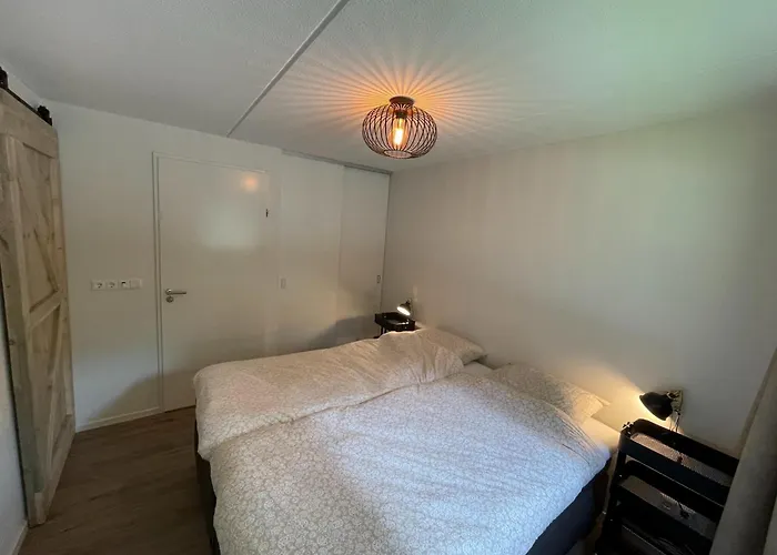 In Near Forest & Cycling