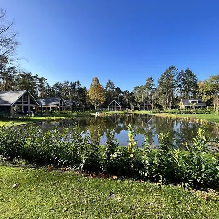 In Near Forest & Cycling