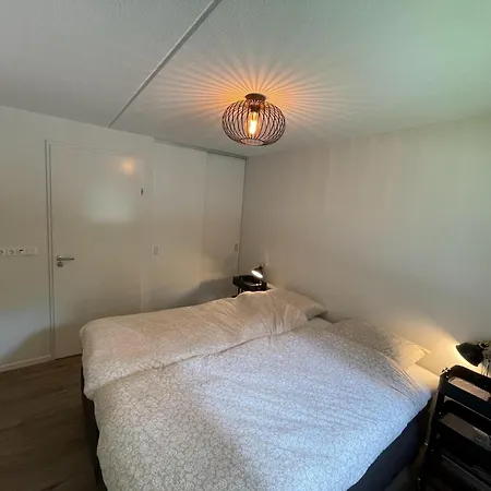 In Near Forest & Cycling